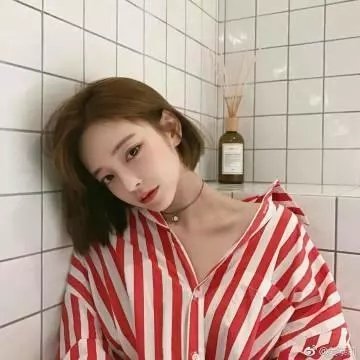 合子异种